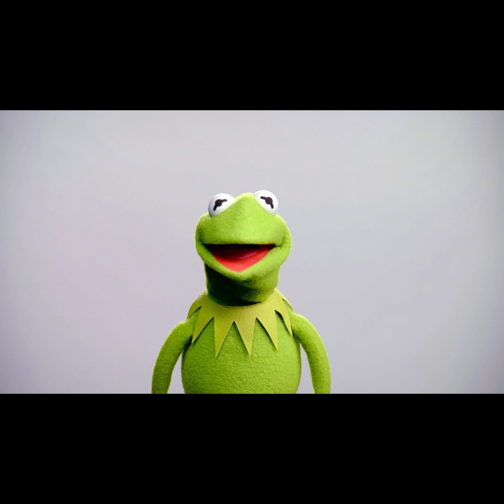 Meet your Posher, Hailey